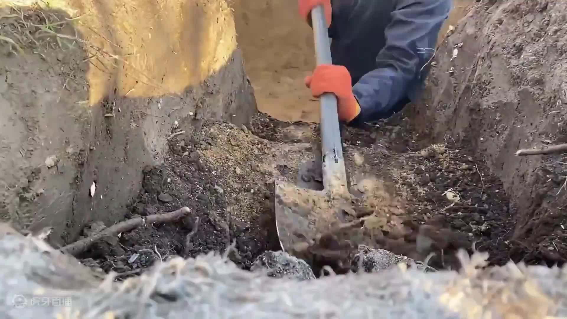 极寒狂风下的地下防空洞，为了躲避猛兽，大门特意设计成50公分