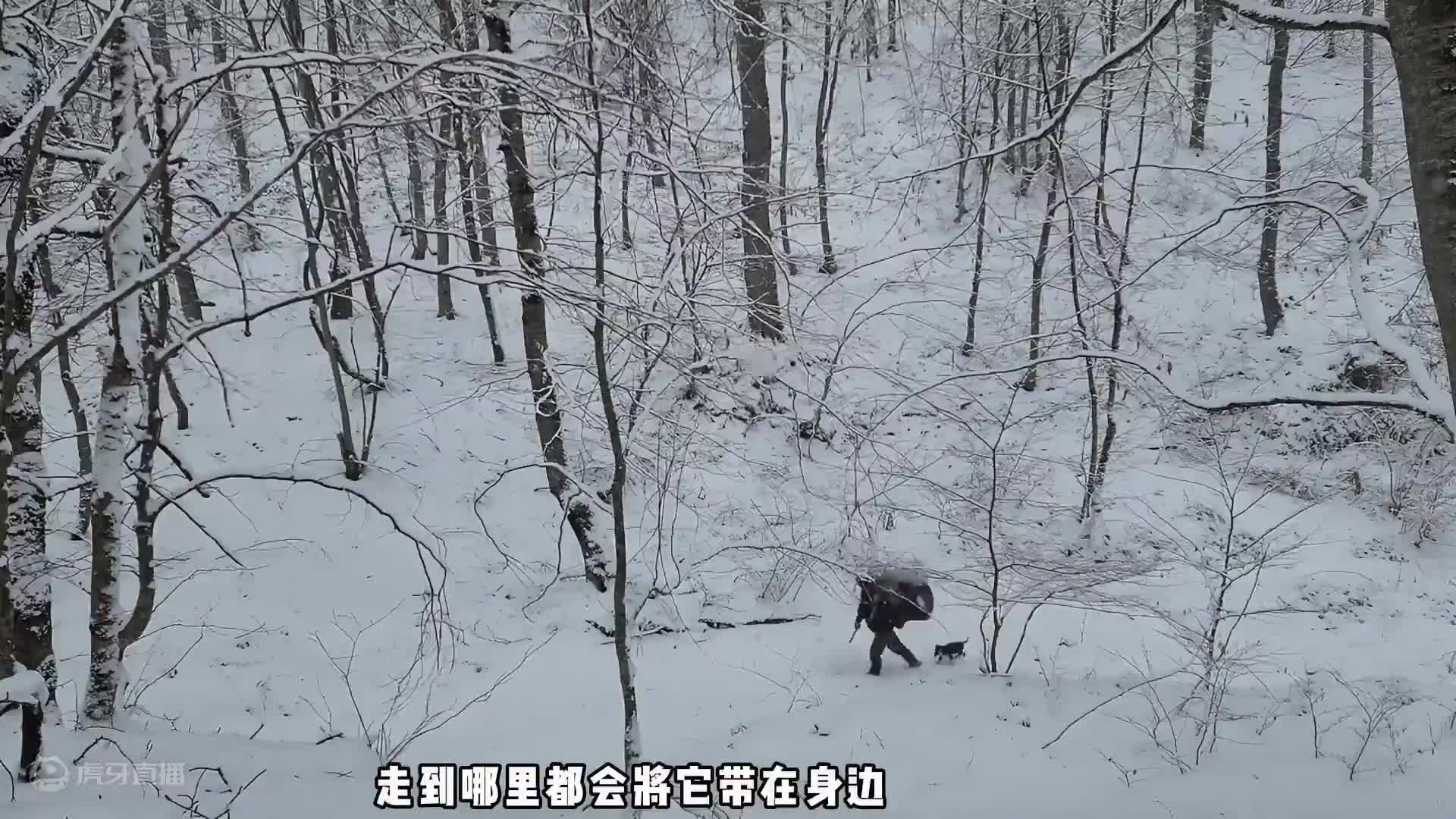 极寒狂风下的地下防空洞，为了躲避猛兽，大门特意设计成50公分