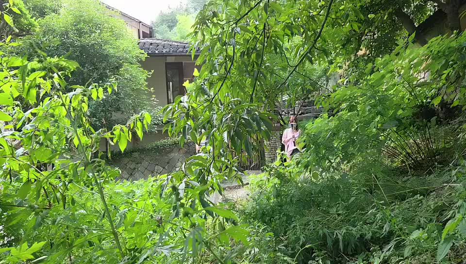 神奇客栈 