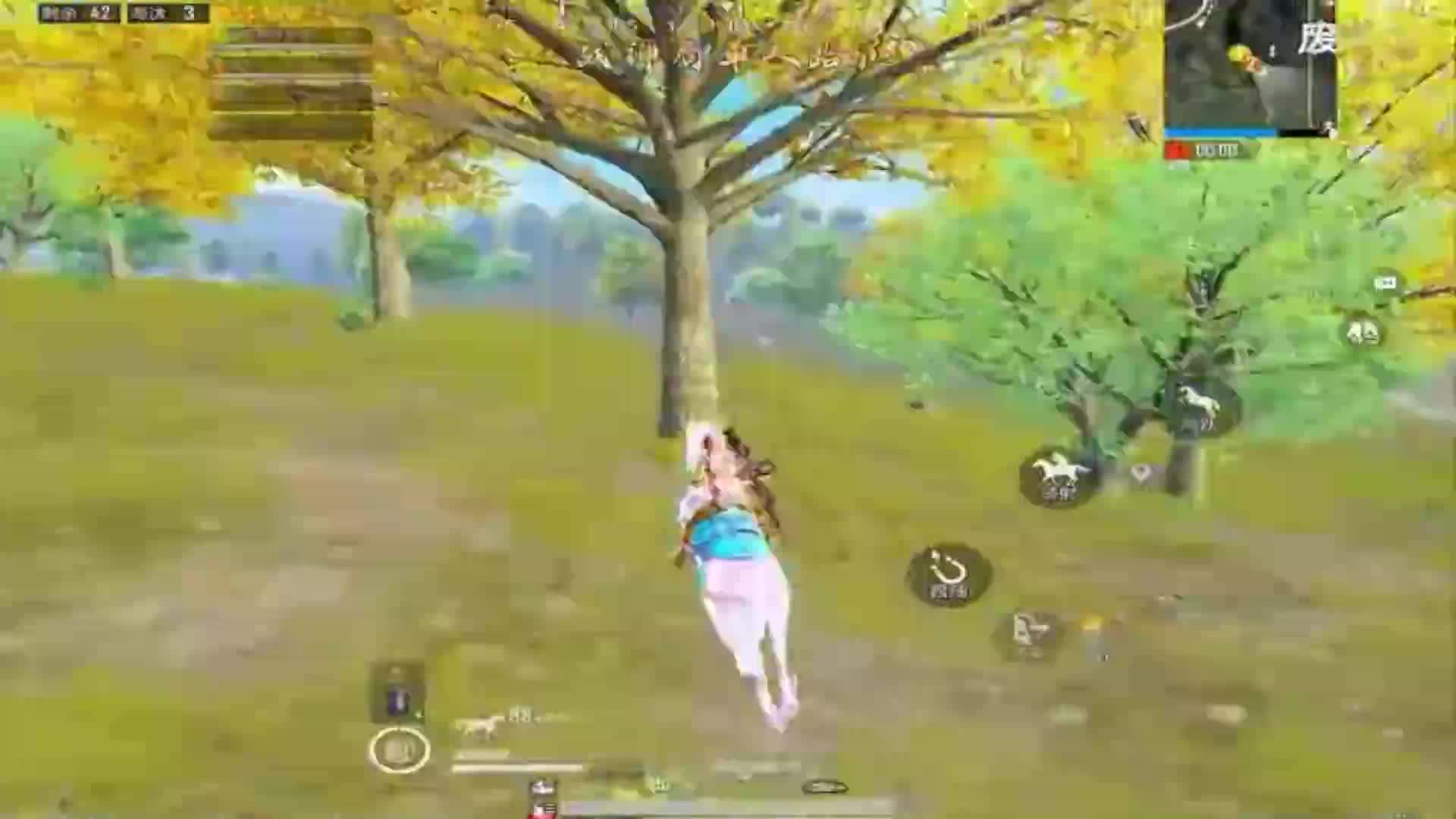 视君海鸟的直播间