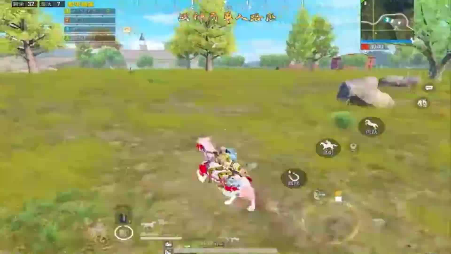 视君海鸟的直播间