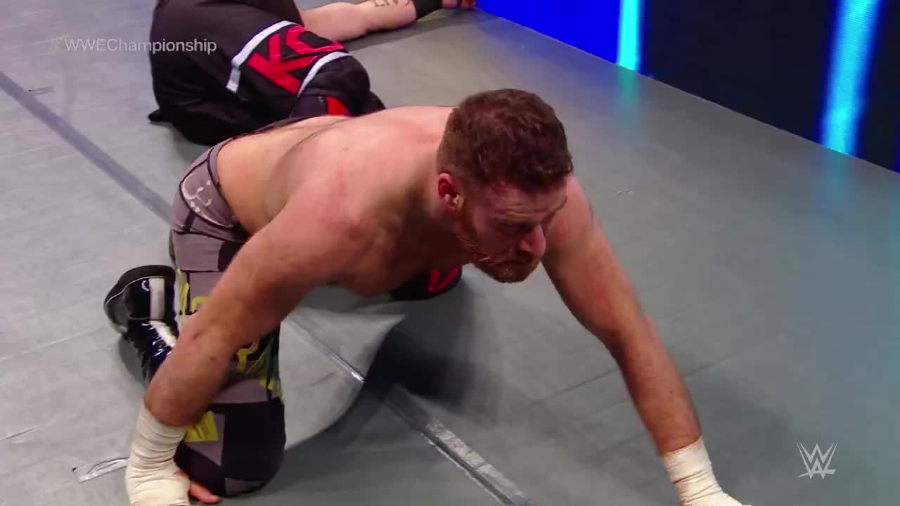 WWE罗曼超人飞拳