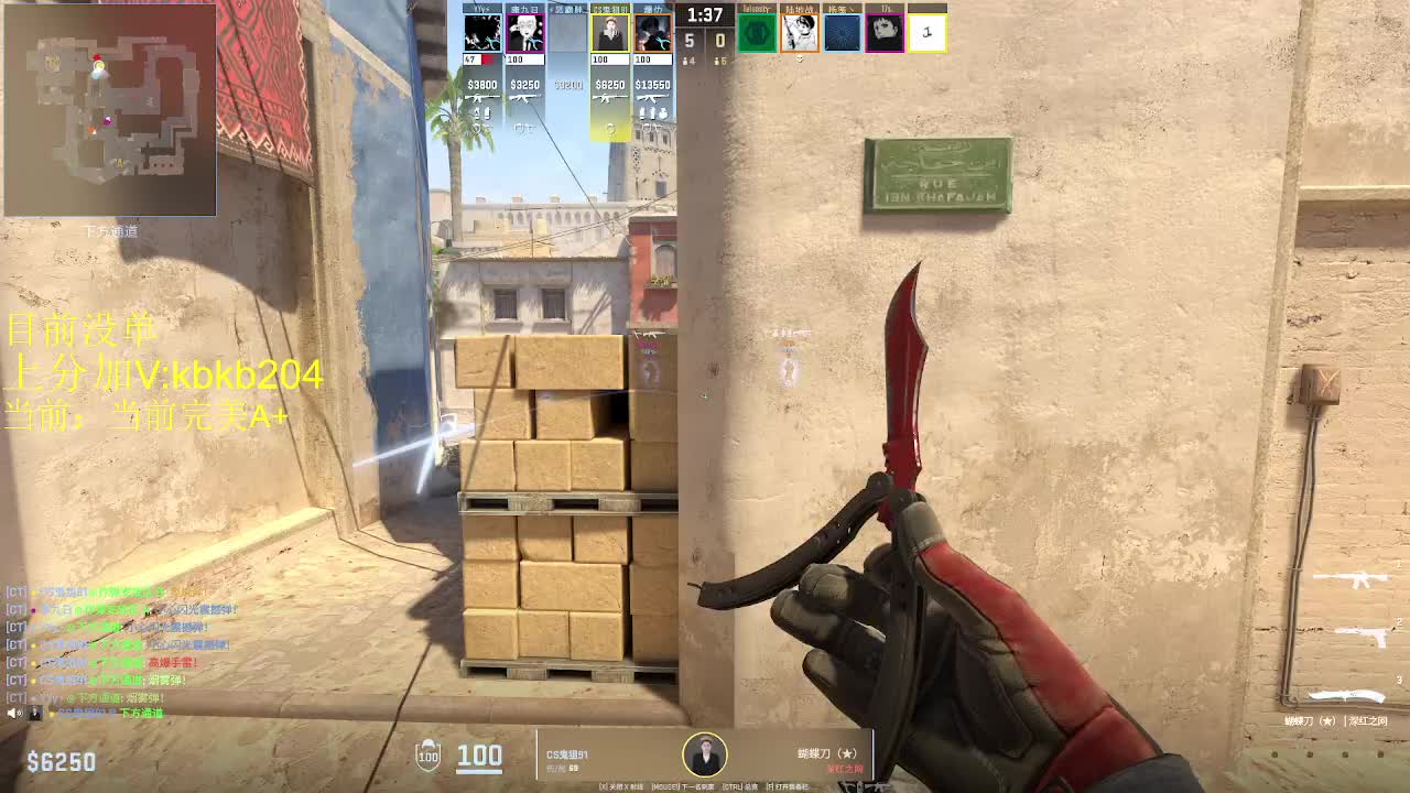 迷城城主 来单秒上 可上车