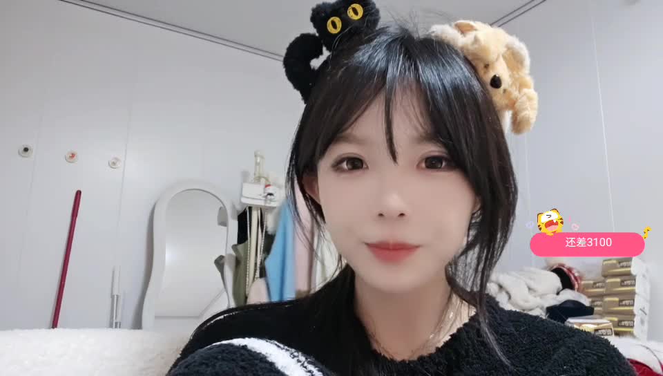 狗粮争夺战 鸟鸟🐦🐦🐦🐦