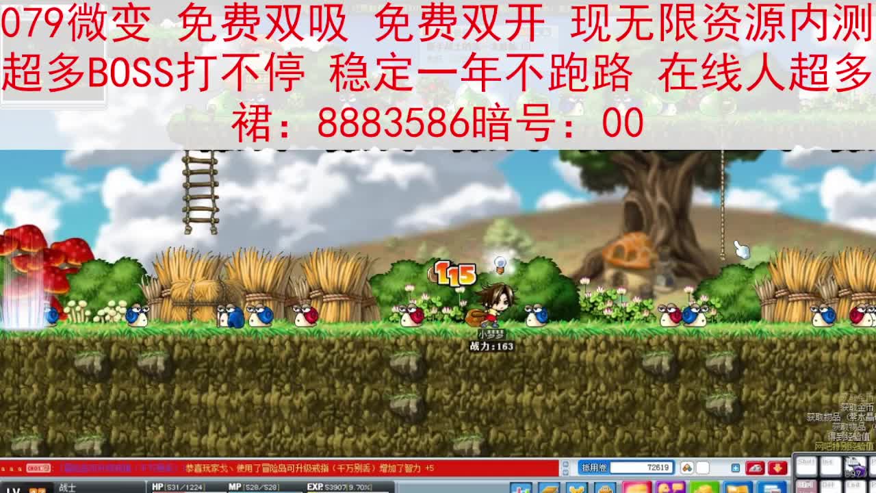 欢迎来到我的直播间