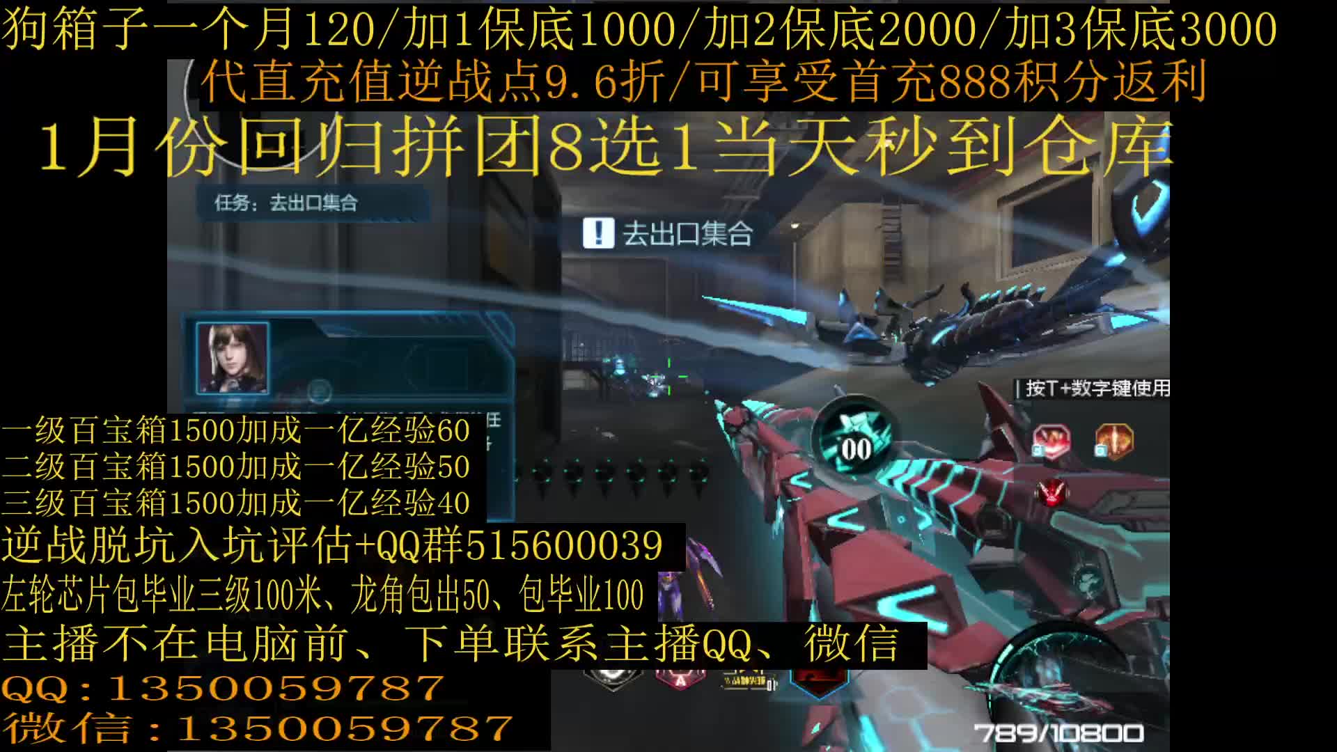 24小时狗箱子芯片经验