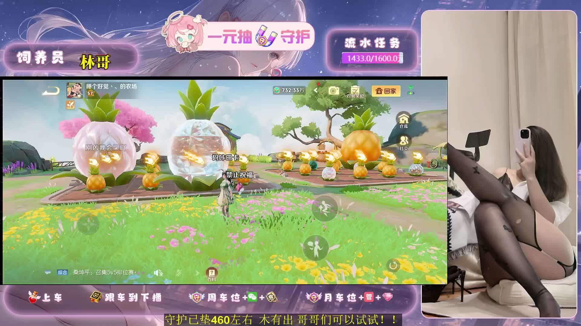  寄树煮波 微胖御姐 情绪稳定