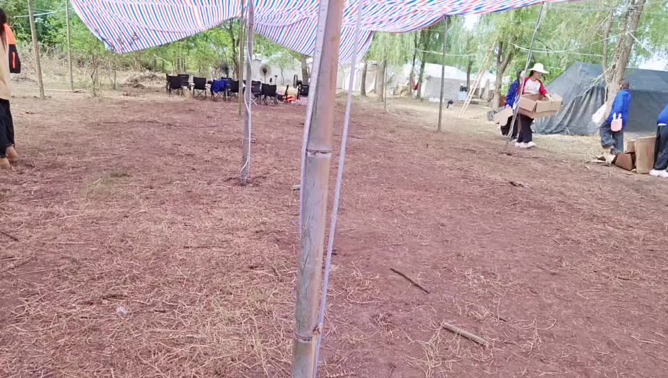 d组醋穷道哥无人岛
