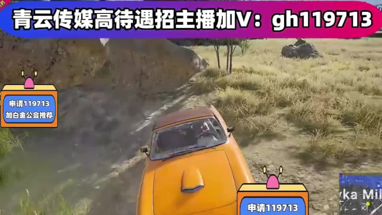 做我大哥，我宠你