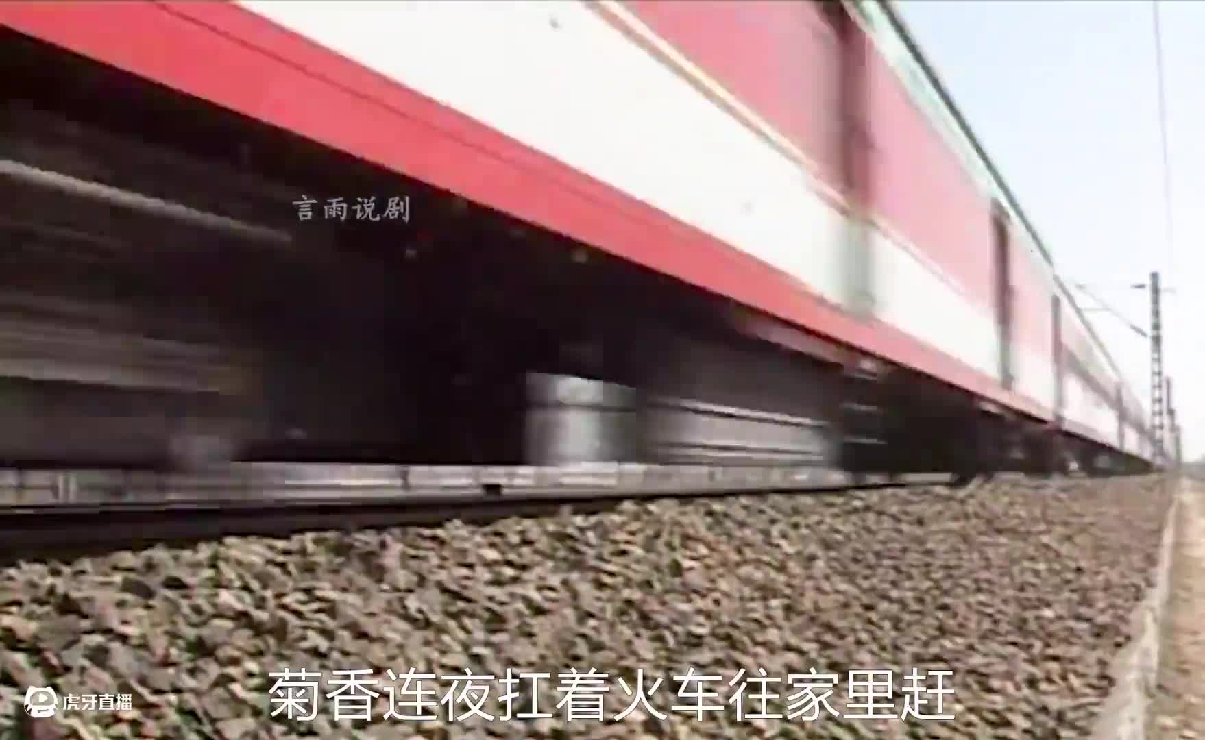 当家的女人