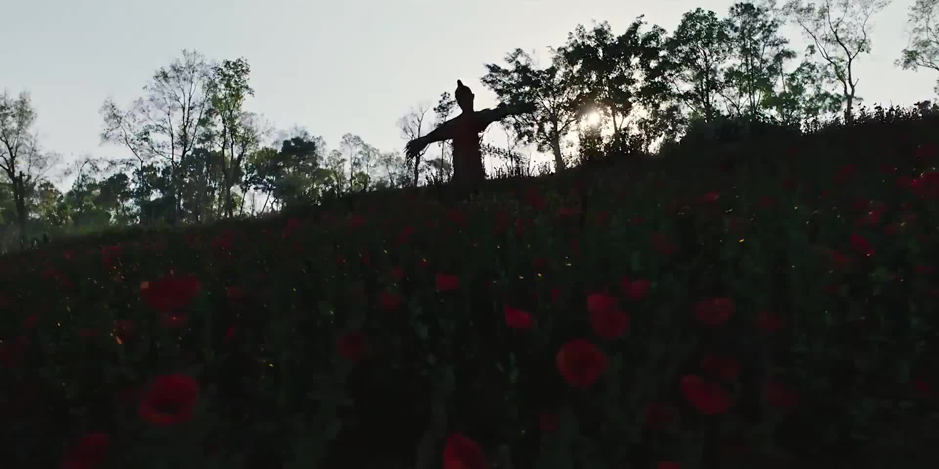 走山 接水 讨生活诶