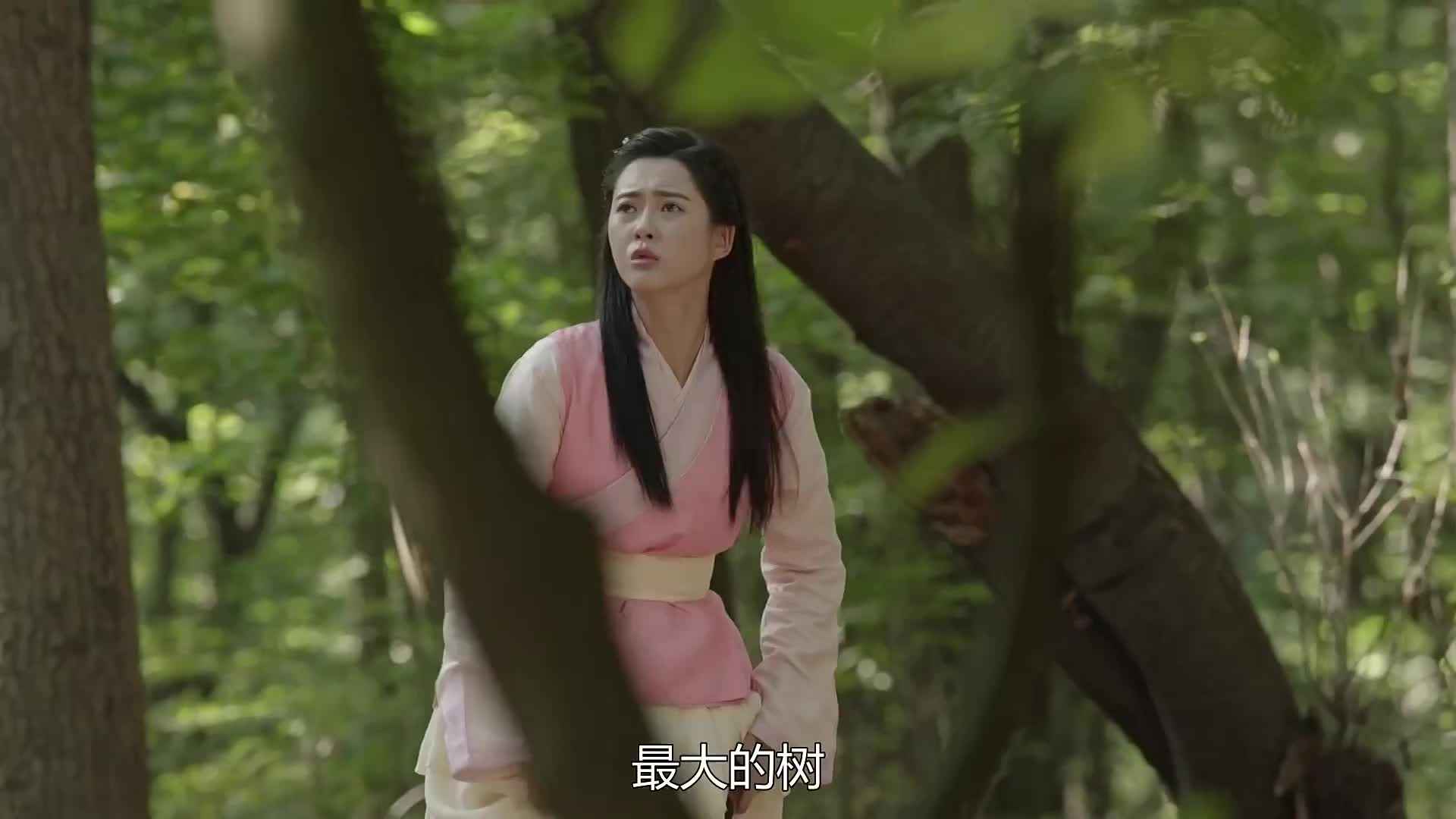 韩剧花郎 超美女主高雅拉