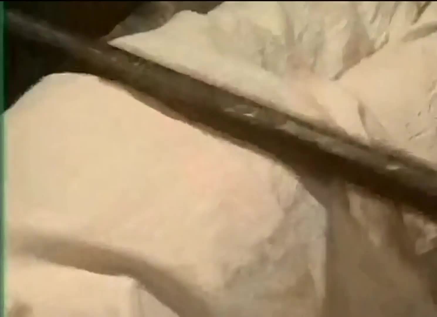 【乱世丽人】
