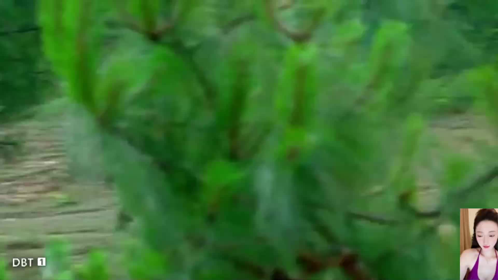 士兵突击~许三多