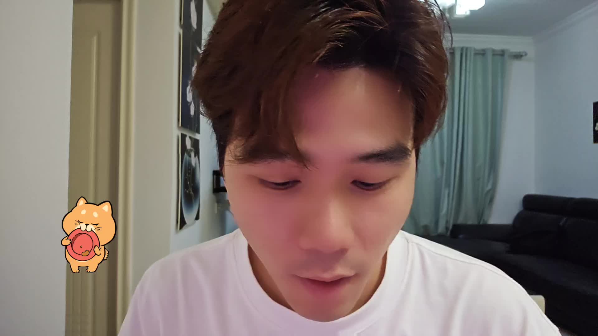 恭喜🎉西班伢夺冠结束了