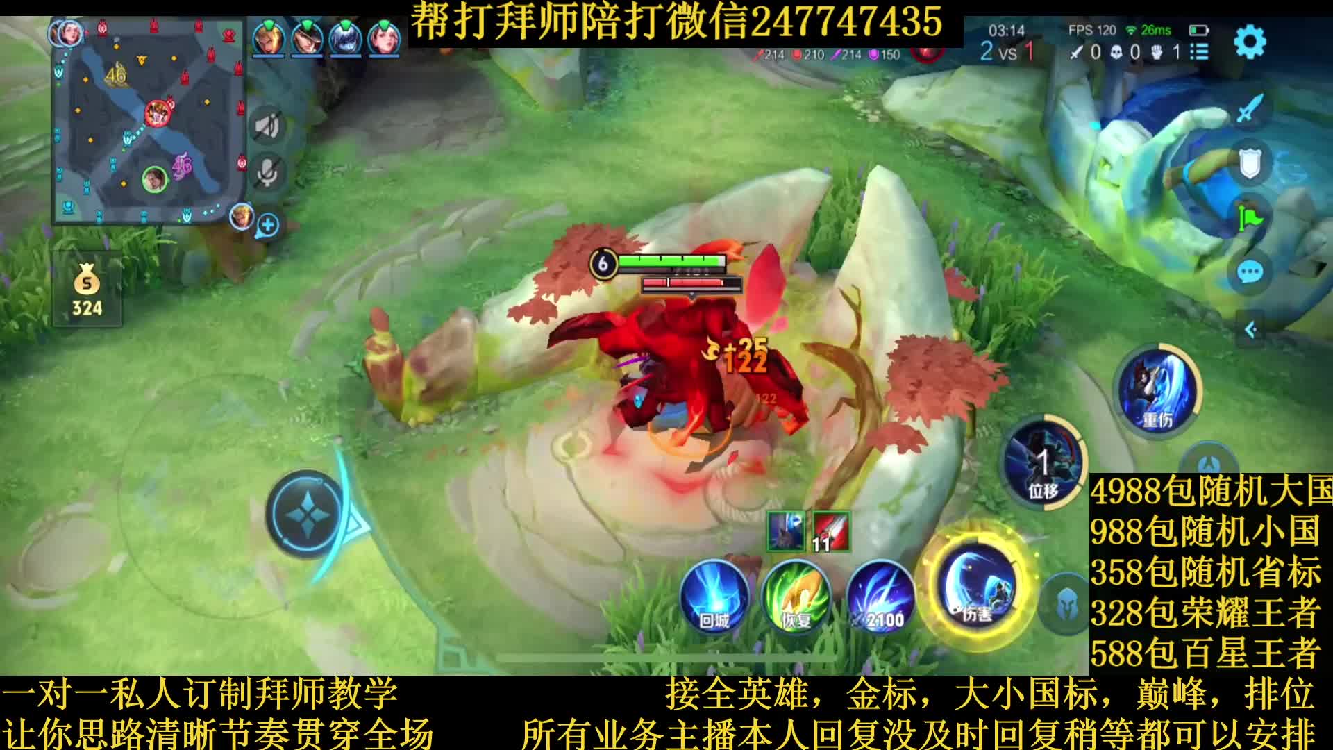 国服宫本节奏野导师接一切业务包满意免费镜