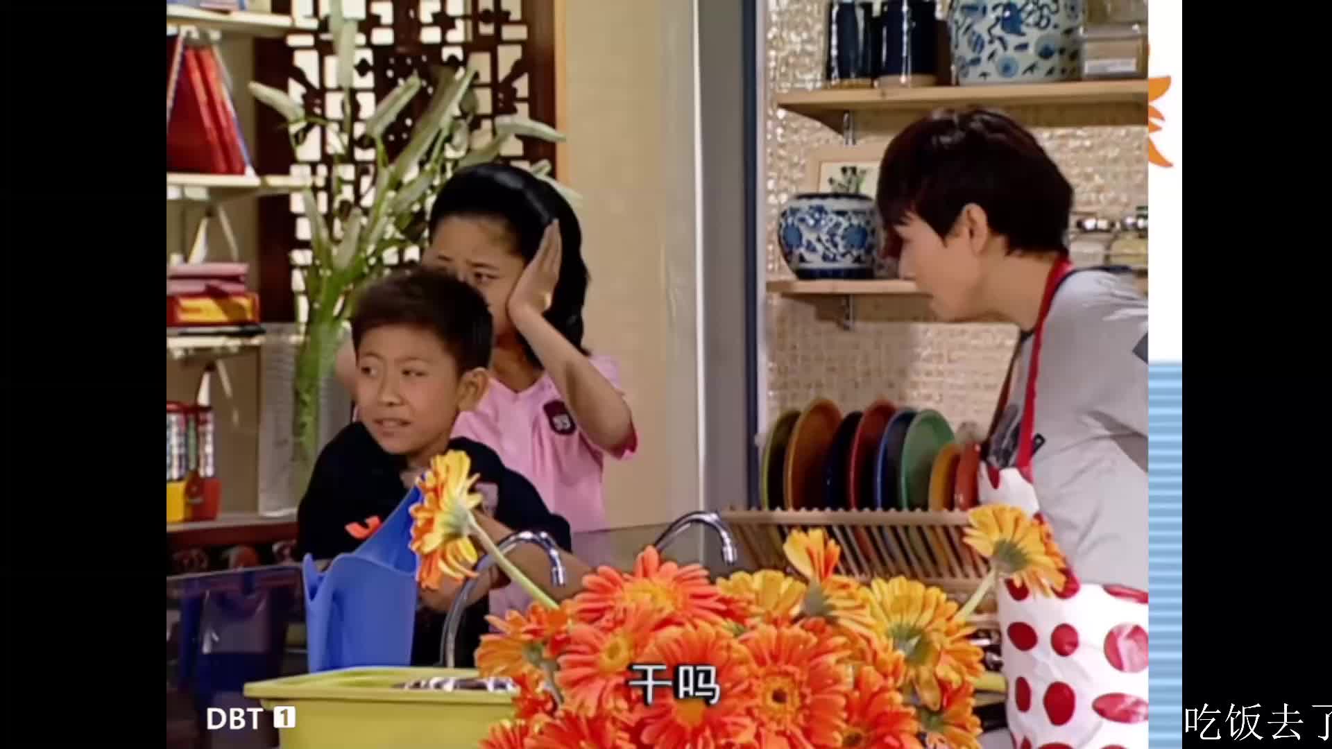 童年回忆~家有儿女~