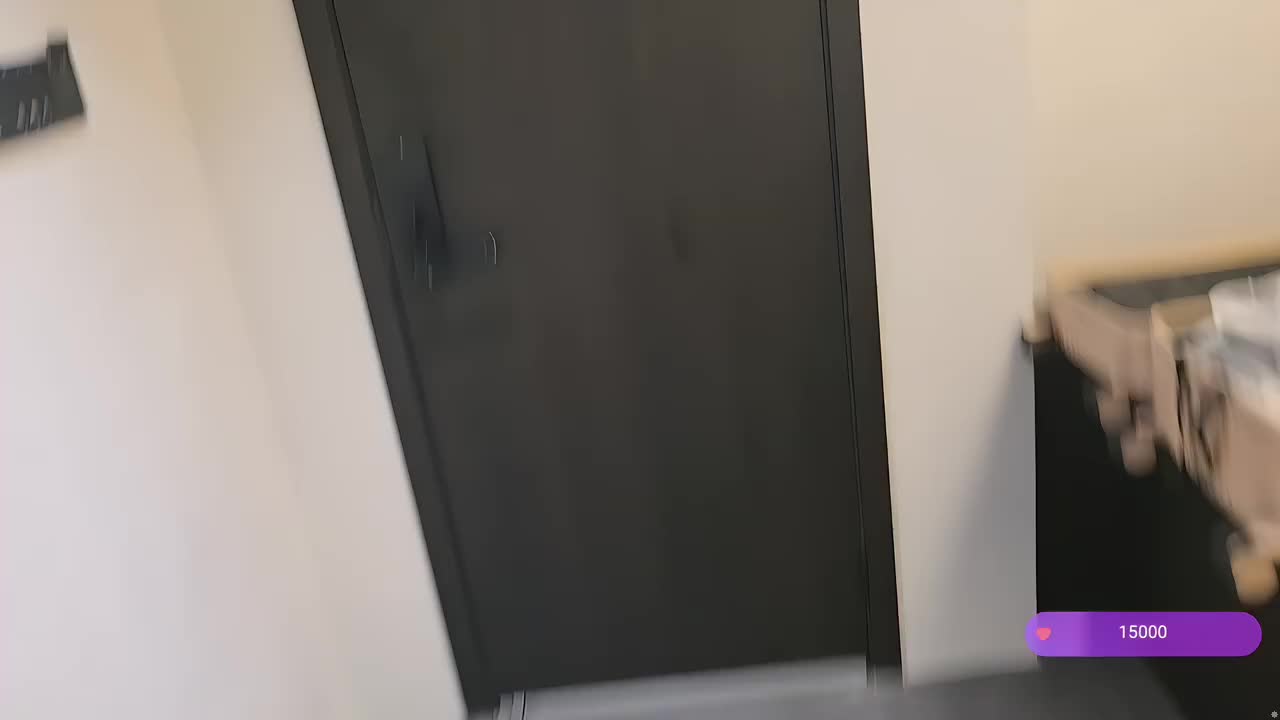 电子宠物上线