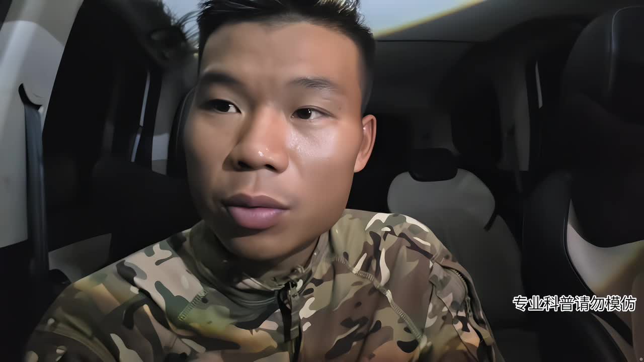 寻找灰腹绿锦蛇