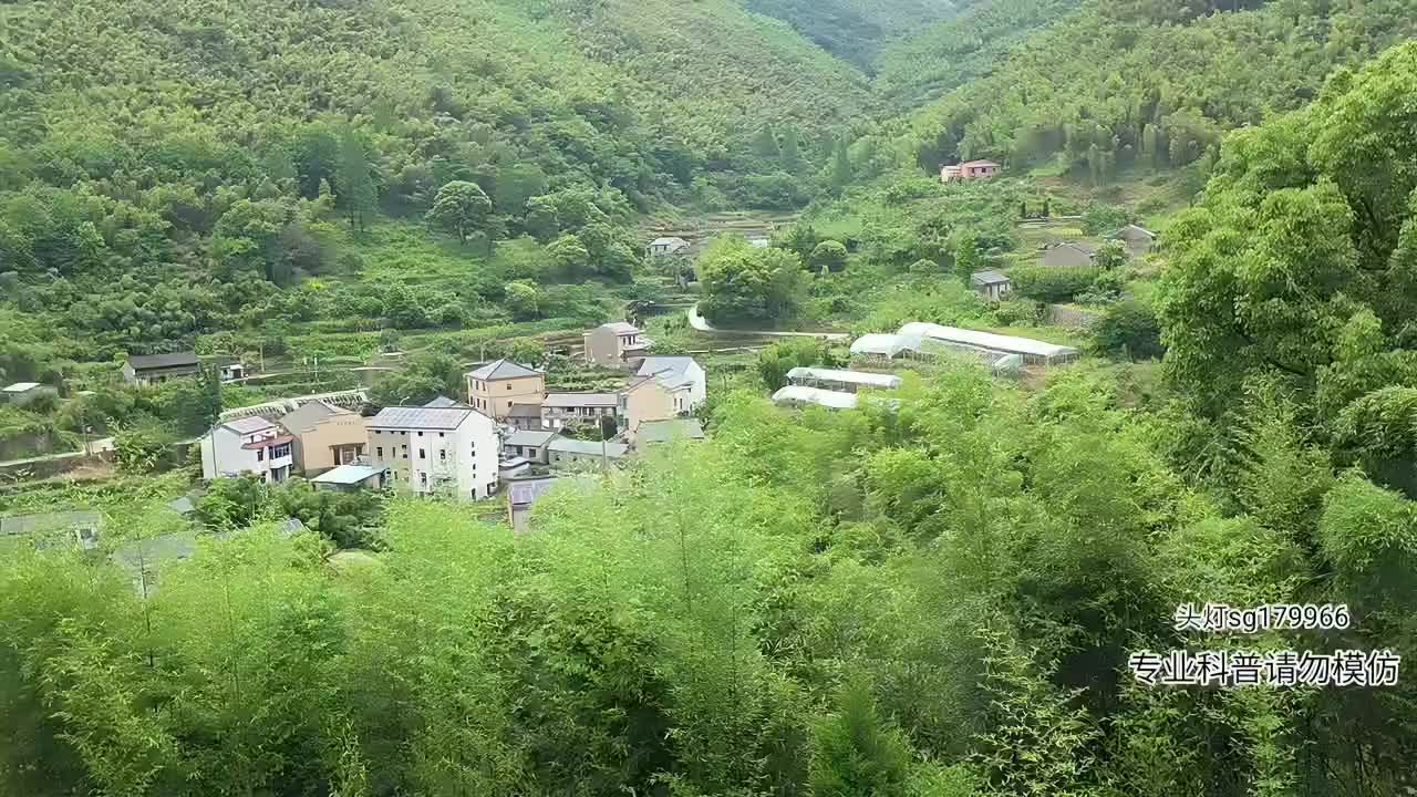 浙江行第一站，期待新蛇种（俊哥独家赞助）