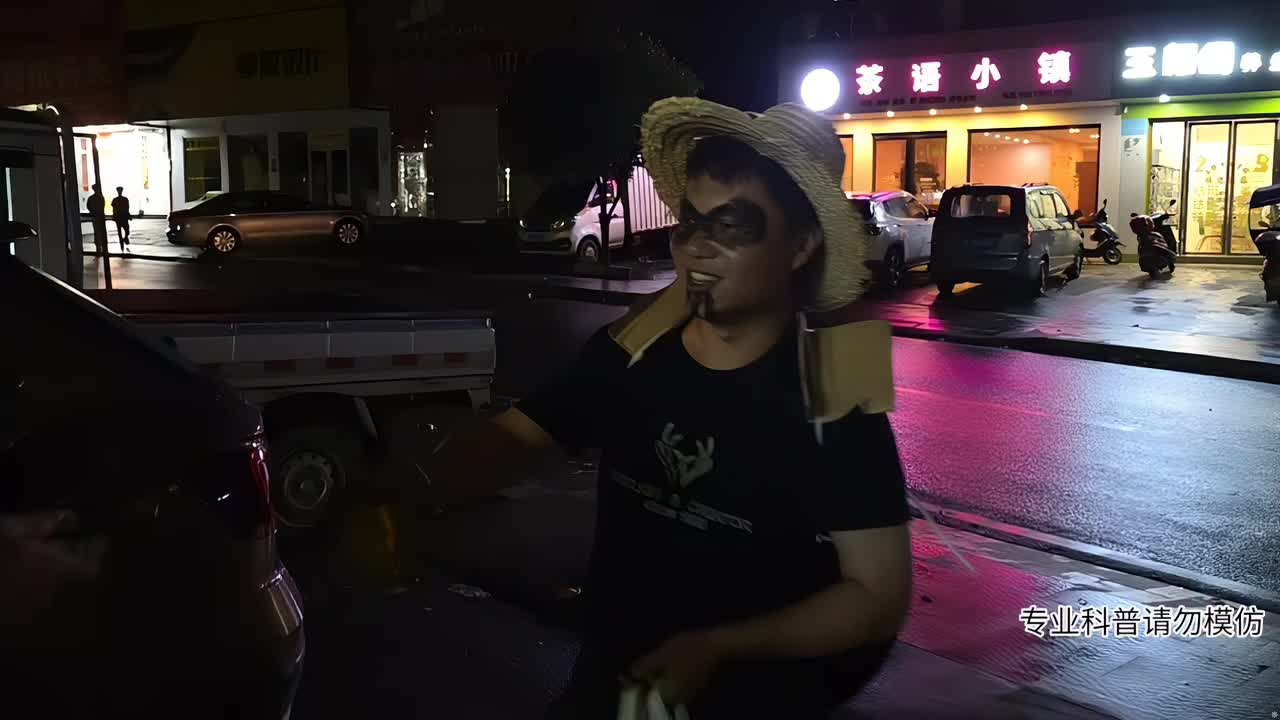 寻找王蛇