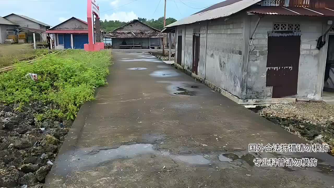 印泥行第21天，探险热带雨林
