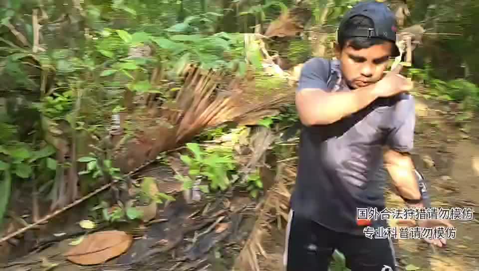 印泥行第22天，探险热带雨林