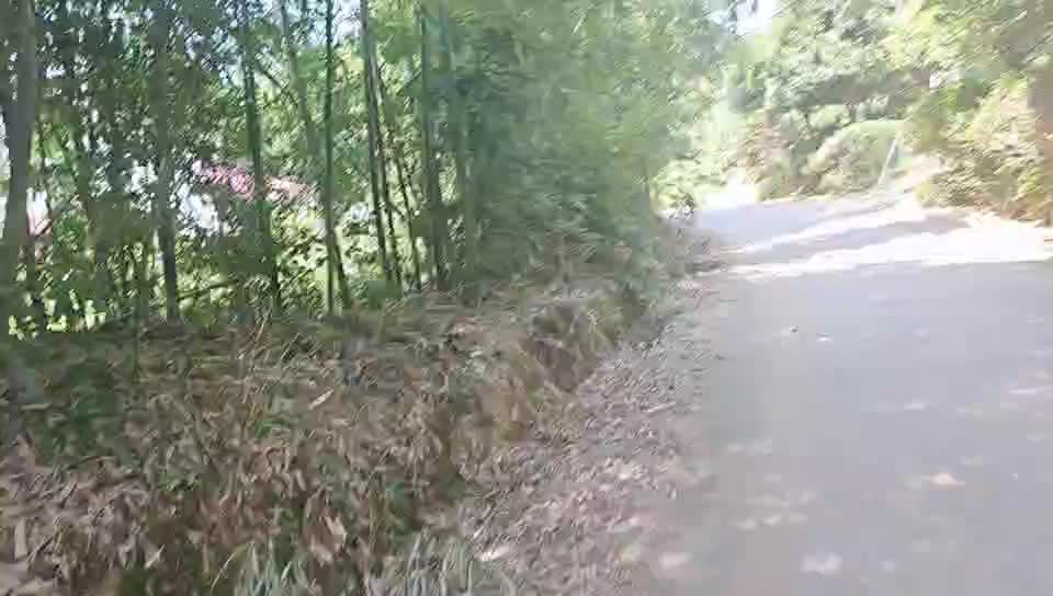 收笼咯