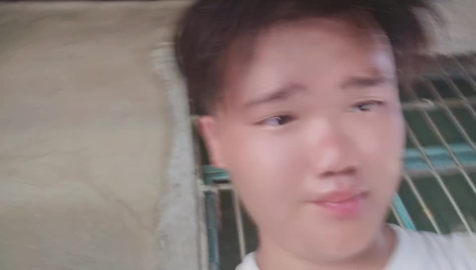 收笼咯