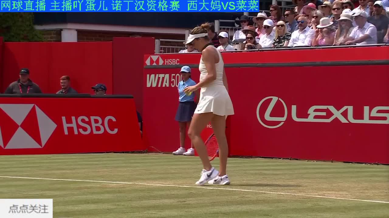 吖蛋儿 网球 赛事 直播