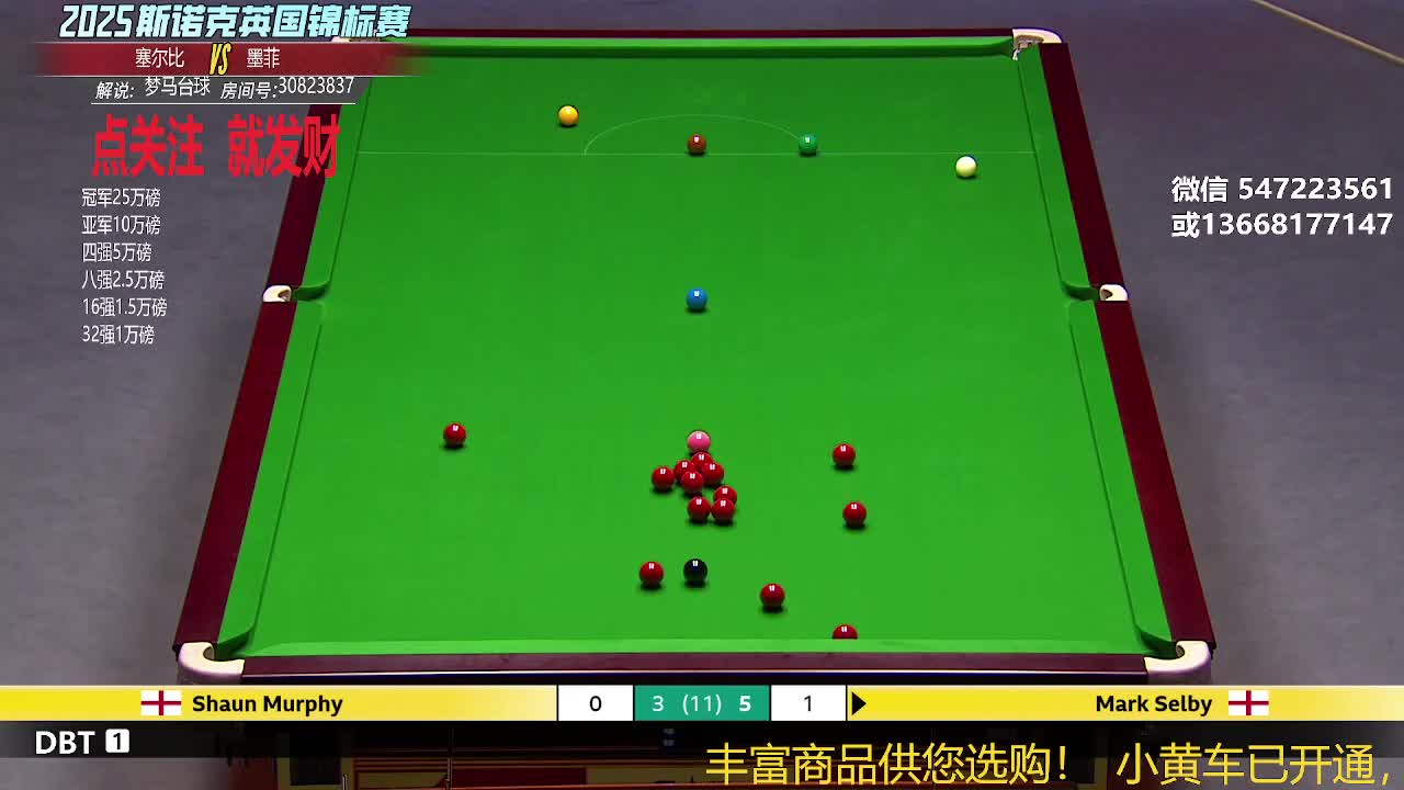 2025英锦赛塞尔比VS墨菲