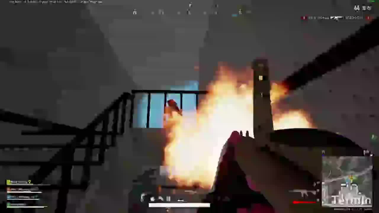 暖阳岸的直播间