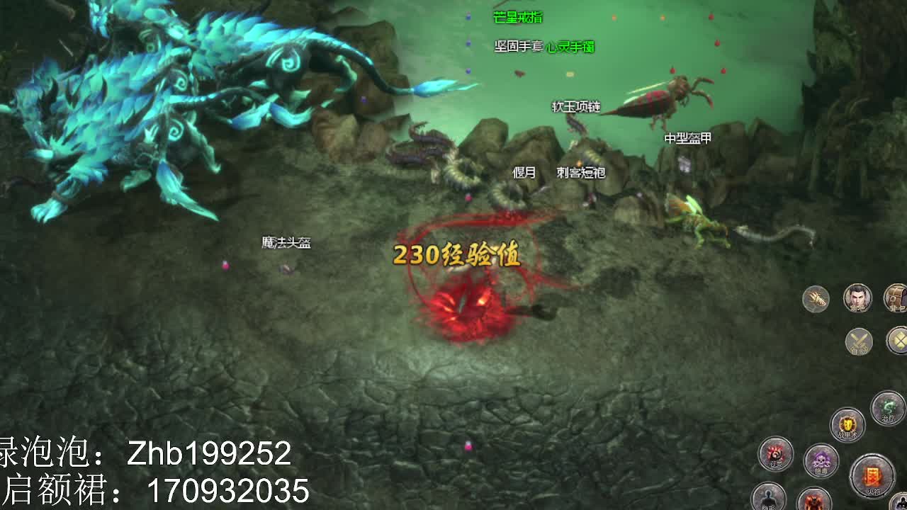 开局我有五条狗