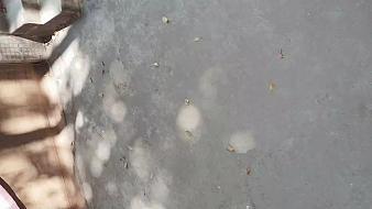 櫻奈小眠戶外直播_櫻奈小眠視頻直播 - 虎牙直播