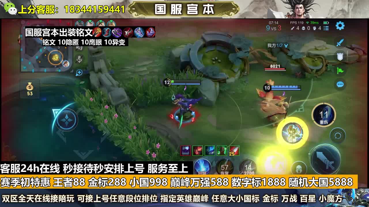 金标288王者88
