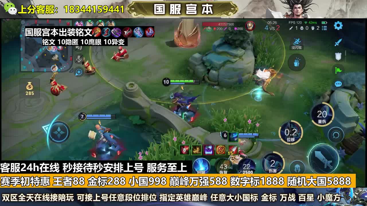 金标288王者88
