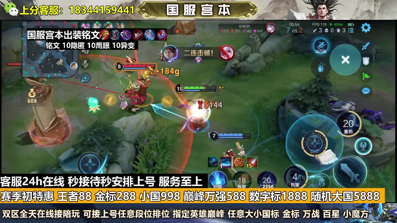 金标288王者88