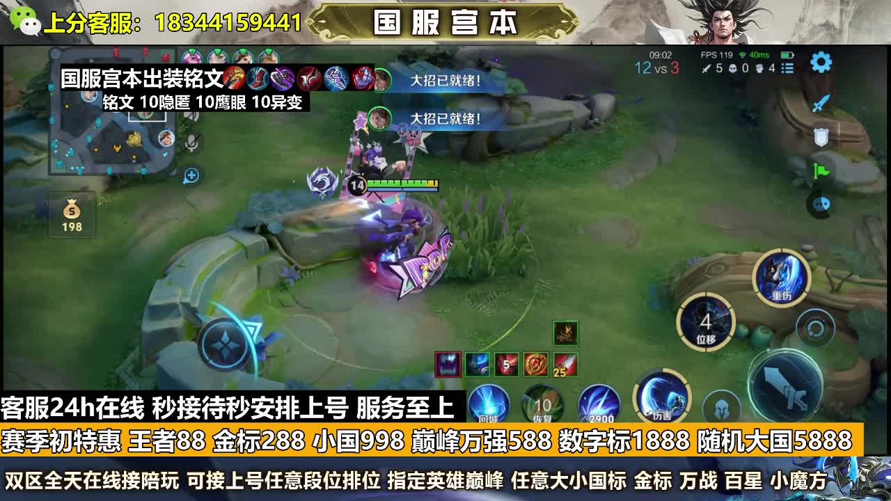 金标288王者88