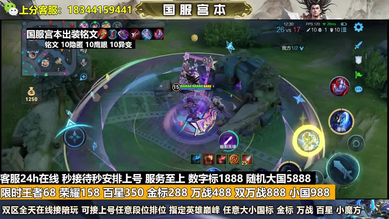 金标288王者88