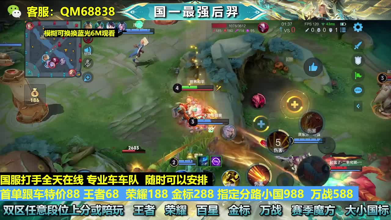 王者68 金标288