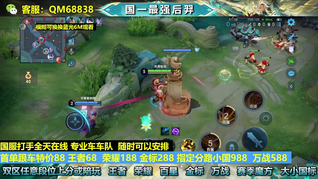 王者68 金标288