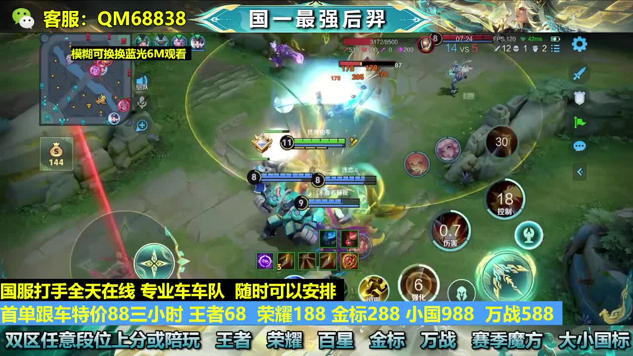 王者68 金标288