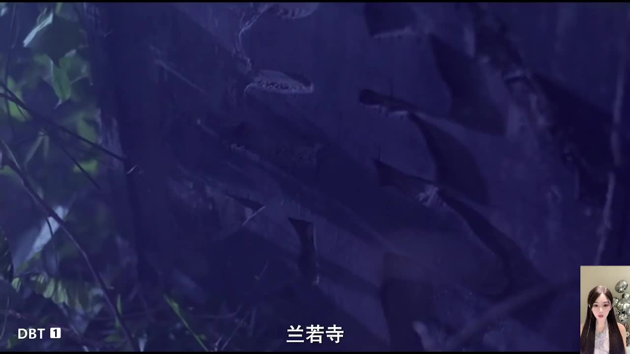 一起看电影