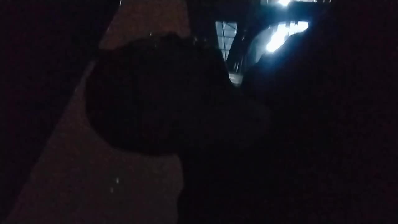 欢迎来到我的直播间