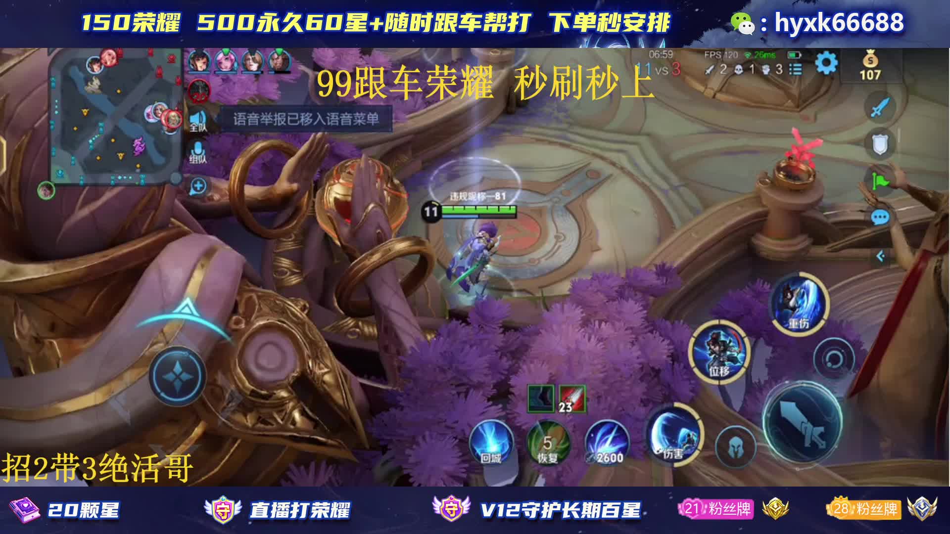 国服老虎2带3150荣耀300百星