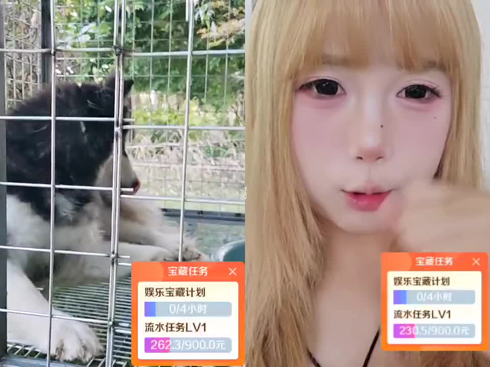 s1-蜕变-程飞跃队🍅🫐相遇