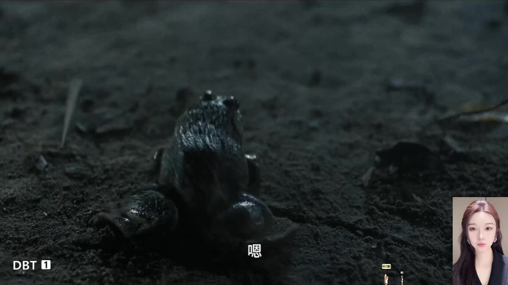 林正英 僵尸 喜剧电影