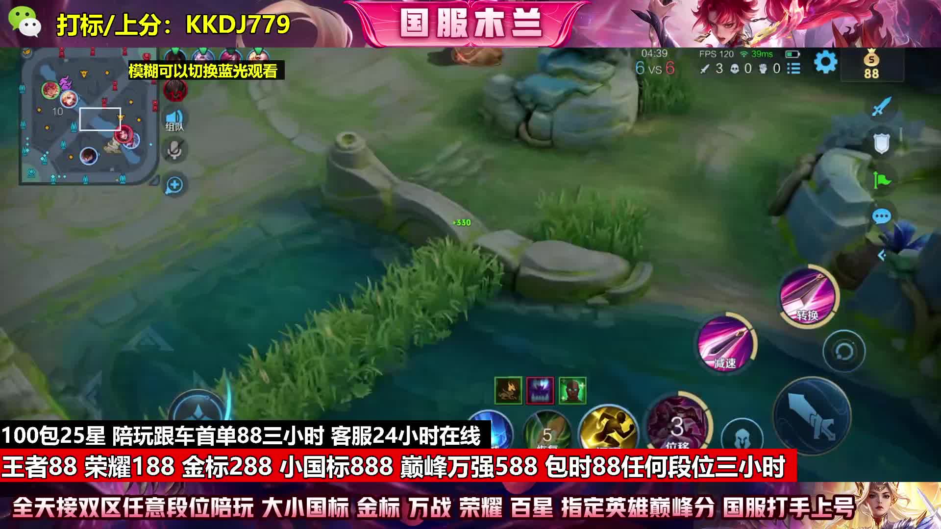 金标288王者88