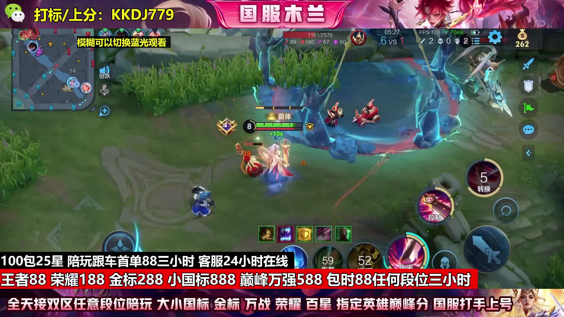 金标288王者88