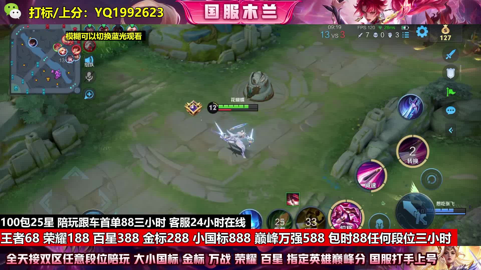 金标288王者88